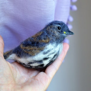 Needle felted house finch. bird finch baby bird.needle felted bird ornament.