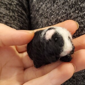 May include: A small, black and white needle felted guinea pig. The guinea pig has pink ears and black eyes.