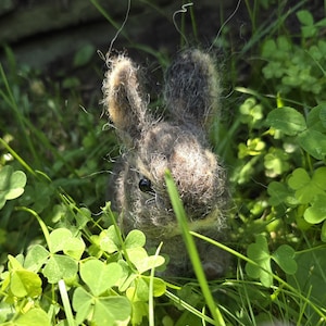Needle felted baby hare, baby bunny realistic bunnies Easter needle felted wool bunny