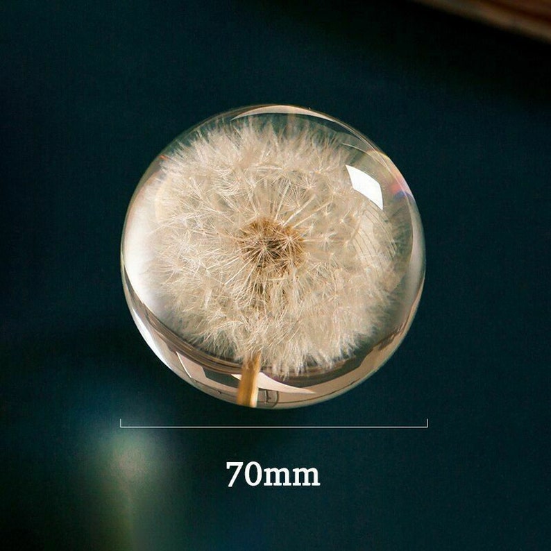 Personalized 3D Crystal Ball Music Box Luminous Rotating with Projection LED Light and Wood Basse Best Gift for Birthday Christmas Real Dandelion