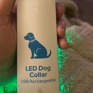 DOG  COIlAR