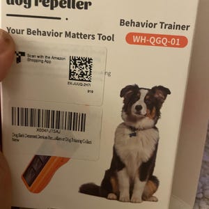 DOG TRAINER