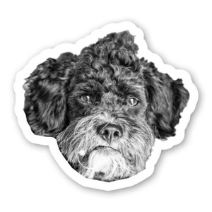 Dog Stickers - custom pet stickers - cat stickers - Pet Photo Stickers - WATERPROOF - custom photo sticker - custom cat stickers  custom dog