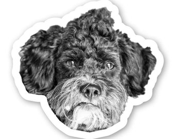Dog Stickers - custom pet stickers - cat stickers - Pet Photo Stickers - WATERPROOF - custom photo sticker - custom cat stickers  custom dog