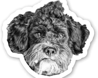 May include: A black and white die-cut sticker featuring a detailed portrait of a curly-haired dog. The dog has expressive eyes, a dark nose, and a shaggy muzzle with lighter fur around the chin, all set against a clean white border outline.
