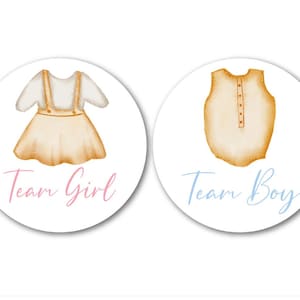 Gender Reveal Stickers - Its a Boy - Its a Girl - Baby Shower Stickers - 40 count stickers - Vintage Themed  - Team Boy and Team Girl