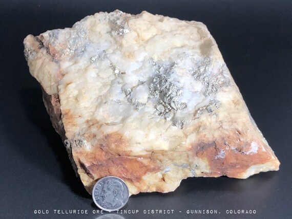 Perfect Large High Grade Colorado Silver Gold Ore Specimen Etsy