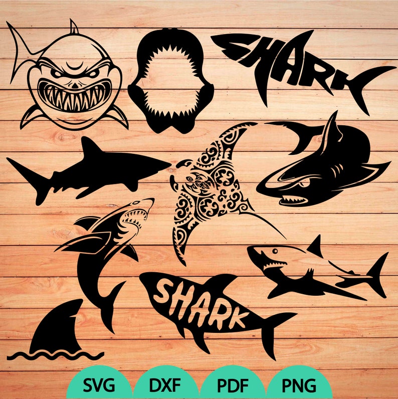 Free Free Shark Jaws Svg 84 SVG PNG EPS DXF File