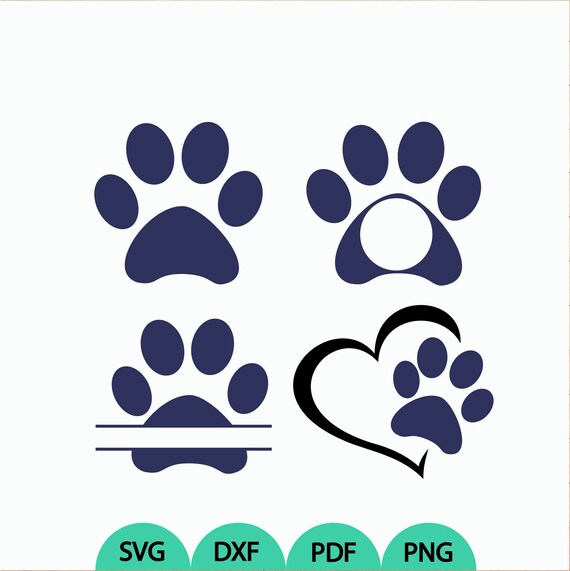 dog paw split