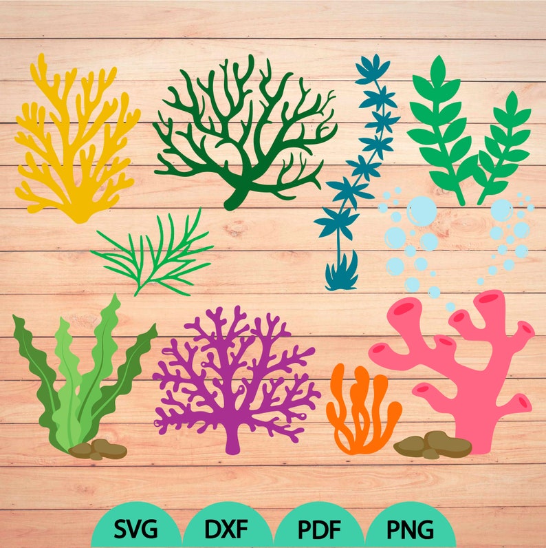 Free Free Sea Life Svg Free 424 SVG PNG EPS DXF File