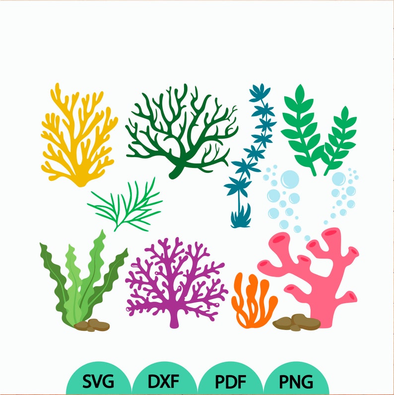Download Sea life svg Seaweed svg Bubbles svg Coral svg Ocean life ...