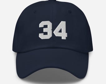 Trump Felon 34 Embroidered Baseball Cap: Anti-Trump Political Hat - Team 34, Trump is a criminal convicted of 34 felonies