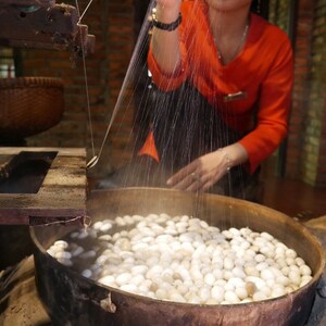 May include: A woman in a red shirt is working with silk cocoons. She is holding a thread of silk that is being pulled from a cocoon in a large pot of water. The cocoons are white and are floating in the water.