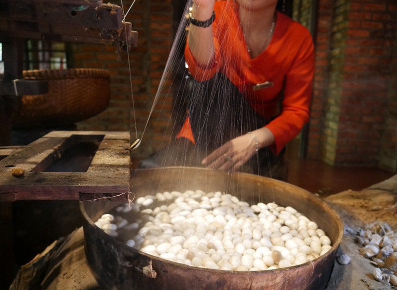 May include: A woman in a red shirt is working with silk cocoons. She is holding a thread of silk that is being pulled from a cocoon in a large pot of water. The cocoons are white and are floating in the water.
