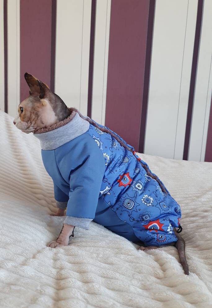 Clothes for cats Down jacket warm winter Space Etsy
