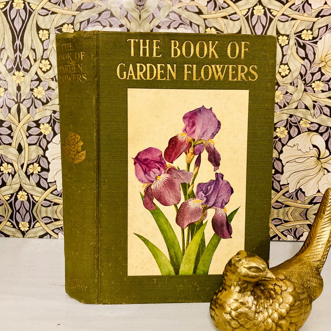 1932 Book of Garden Flowers by Robert Mccurdy Beautifully Illustrated