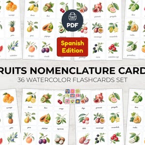 Montessori Früchte Nomenklatur Karteikarten Set auf Spanisch | Botanisches Aquarell Design | Hausschule | Klassenzimmer PDF zum ausdrucken