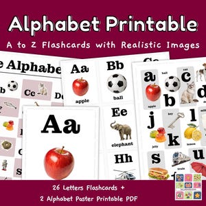Cartaz de cartões ABC para impressão do alfabeto | Flashcards de A a Z com imagens realistas para crianças e alunos de ESL | Decoração de sala de aula