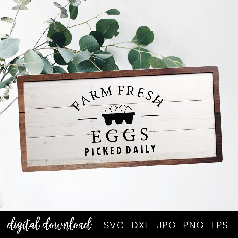 Op de afbeelding: Een wit houten bord met een bruin frame, met de tekst "Farm Fresh Eggs Picked Daily" in zwarte letters. Boven het woord "Eggs" is een zwarte silhouet van een eierdoos afgebeeld.