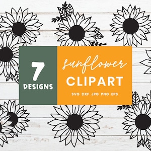 Solros Svg Bundle, Blomma Cut-fil för Cricut och Silhouette, Solros Clipart Design Element, Handritade Solros Svg-filer