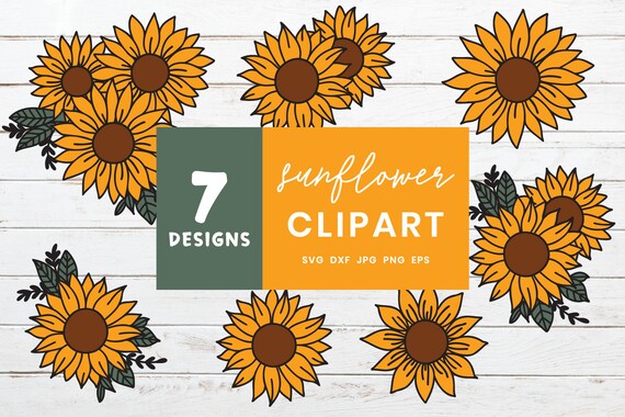 Download Sunflower Svg Bundle Flower Cut File For Cricut And Etsy PSD Mockup Templates