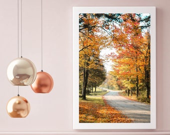 Fall Print - Picture Perfect Fall // Vermont Foliage, Fall Leaves, Burlington, Fall Photography, Wall Art, Fall Home Decor