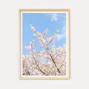 London Photo Print // &quot;Blossom Above&quot; (London photography, travel photography print, Cherry blossom, Spring in London)