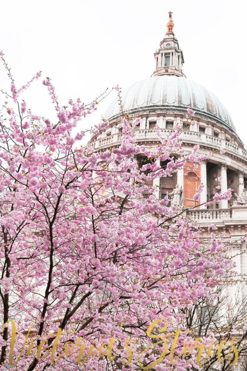 London Photo Print // St Paul's Cathedral spring blossom | Etsy