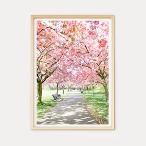 London Photo Print // &quot;Greenwich Bloom&quot; (Landscape urban beautiful England wall art digital fine art photography, unique london home decor)