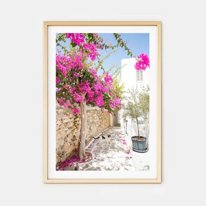 Mykonos Greece Photo Print // "Pretty Kitty in Paros" (Greece wall art, digital fine art, art photography, Greece photo print)