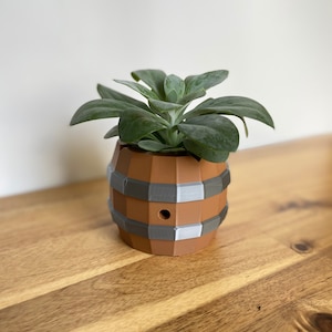 May include: A small succulent plant in a brown and gray barrel-shaped planter. The planter has a hole in the bottom for drainage.