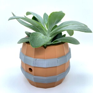 May include: A succulent plant in a brown and gray barrel-shaped planter. The planter has a hole in the bottom for drainage.