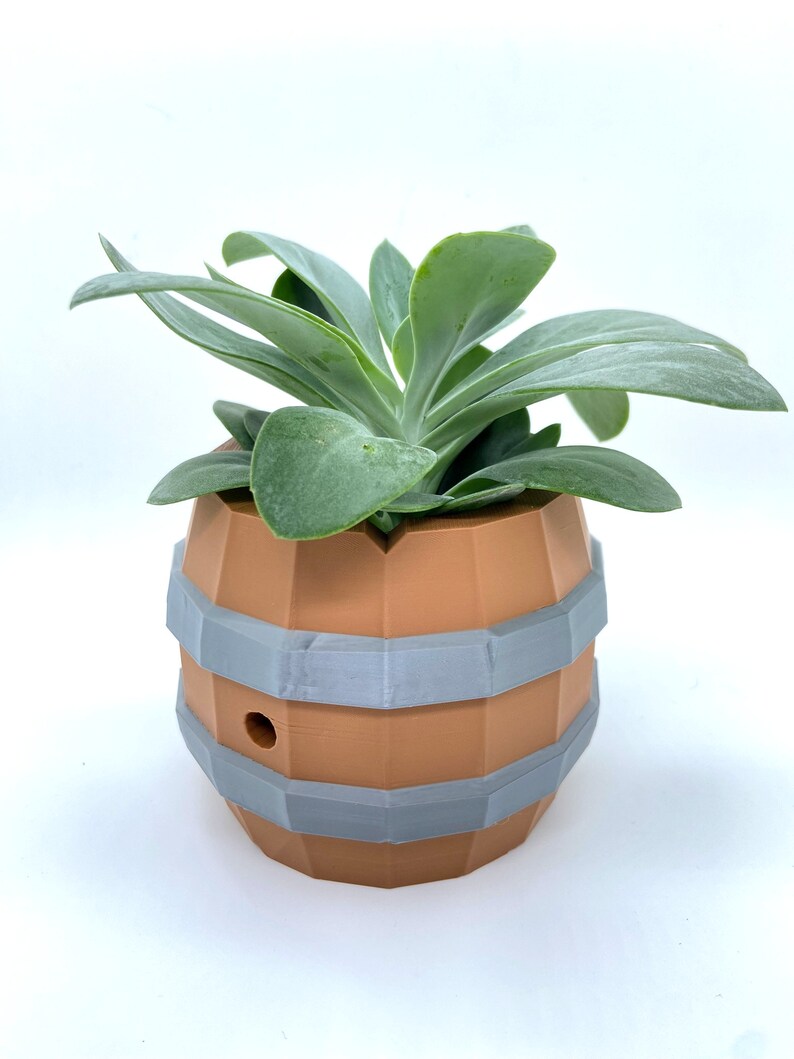 May include: A succulent plant in a brown and gray barrel-shaped planter. The planter has a hole in the bottom for drainage.