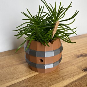 May include: A small green succulent plant growing in a brown and gray ceramic barrel-shaped planter. The planter has a hole in the side.
