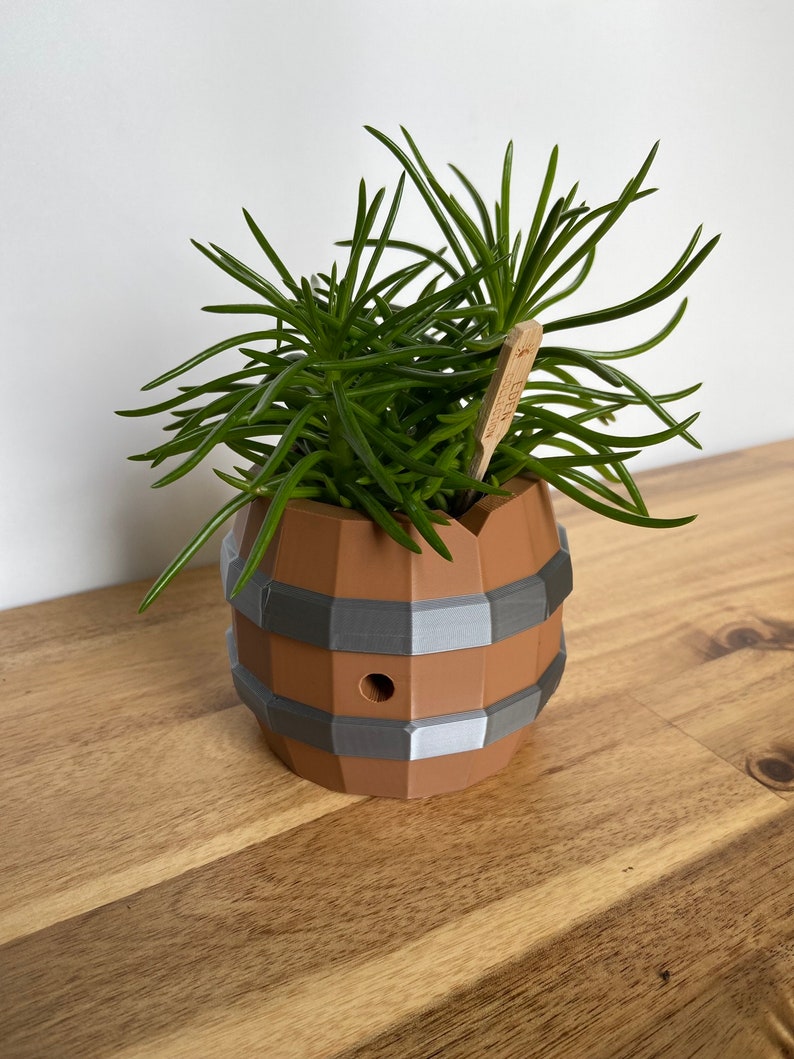May include: A small green succulent plant growing in a brown and gray ceramic barrel-shaped planter. The planter has a hole in the side.