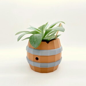 May include: A small succulent plant in a brown and gray ceramic barrel-shaped planter. The planter has a hole in the side for drainage.