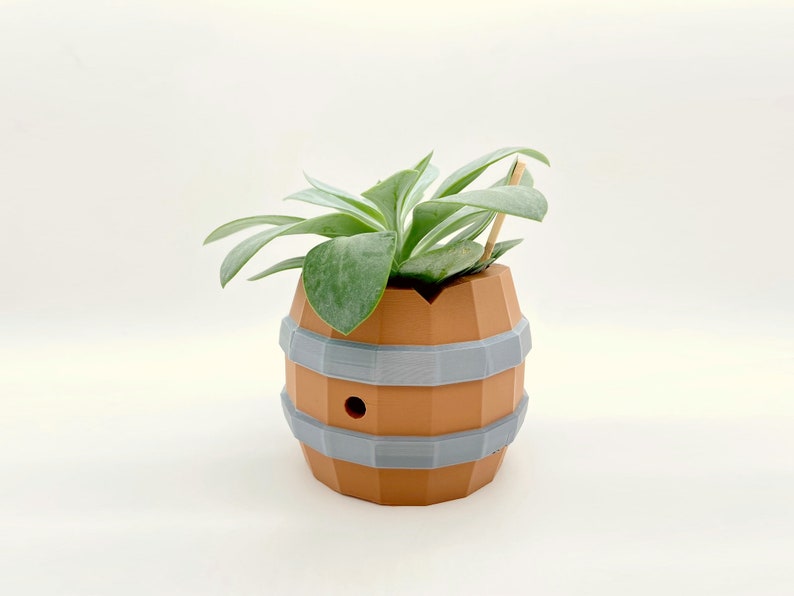 May include: A small succulent plant in a brown and gray ceramic barrel-shaped planter. The planter has a hole in the side for drainage.