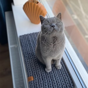 Puede incluir: Un gato gris está sentado en una cama para mascotas de punto gris en un alféizar. El gato tiene los ojos cerrados. Un jarrón marrón con plantas secas está en el fondo. La cama para mascotas tiene una pequeña etiqueta de cuero marrón.
