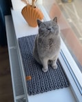Chunky chrochet Windowsill bed / cat mat / windowsill bed / anti slip product logo