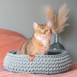 May include: A golden-brown cat with green eyes sits in a light gray, round, crocheted pet bed. The bed has a brown leather tag that reads "Happy Baby". The cat is the focal point, with a soft, neutral background.