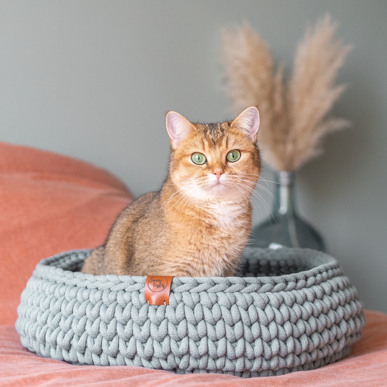May include: A golden-brown cat with green eyes sits in a light gray, round, crocheted pet bed. The bed has a brown leather tag that reads "Happy Baby". The cat is the focal point, with a soft, neutral background.