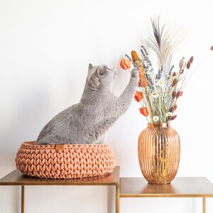 May include: A gray cat reaches for dried flowers in a copper-colored vase. The cat sits in a peach-colored, knitted cat bed. The vase and cat bed are on a gold-colored table against a white background.