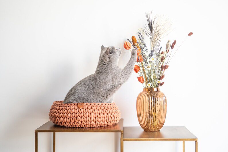May include: A gray cat reaches for dried flowers in a copper-colored vase. The cat sits in a peach-colored, knitted cat bed. The vase and cat bed are on a gold-colored table against a white background.