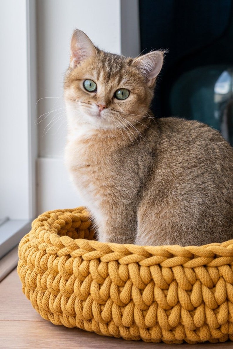 May include: A golden-brown cat with green eyes sits in a mustard yellow, knitted cat bed. The cat is looking directly at the camera. The cat bed is round and made of thick, woven yarn.