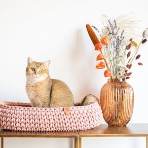 May include: A golden-brown cat sits in a pink, hand-crocheted cat bed. A copper-colored vase with dried flowers and foliage sits to the right. The cat bed is on a brown table against a white wall.