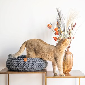 May include: A golden-brown cat stands in a gray, round, knitted pet bed on a brown table. A decorative vase with dried flowers and orange accents is next to the cat bed. The cat is looking at the flowers.