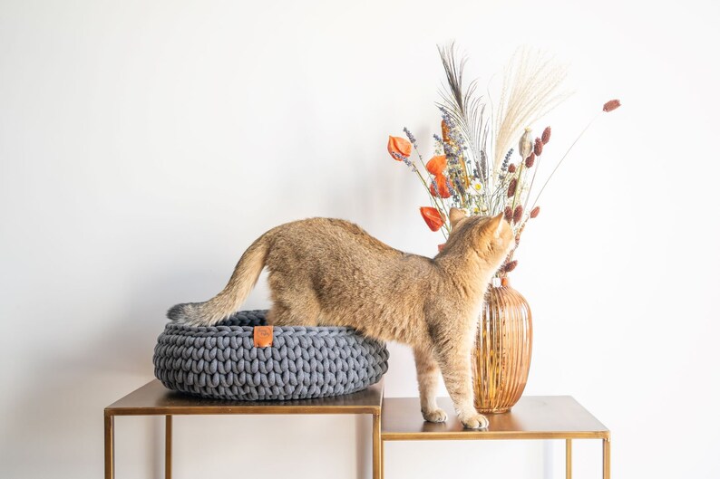 May include: A golden-brown cat stands in a gray, round, knitted pet bed on a brown table. A decorative vase with dried flowers and orange accents is next to the cat bed. The cat is looking at the flowers.