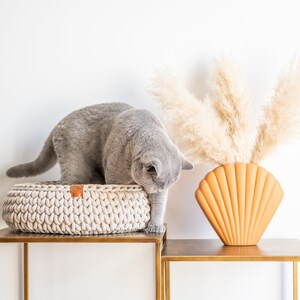 May include: A gray cat investigates a cream-colored, round, woven cat bed on a gold metal table. A seashell-shaped orange vase holds tall, beige pampas grass. The scene is set against a white wall.