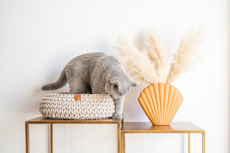 May include: A gray cat investigates a cream-colored, round, woven cat bed on a gold metal table. A seashell-shaped orange vase holds tall, beige pampas grass. The scene is set against a white wall.