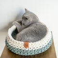 Handmade cat basket recycled cotton / 2 coloured / chunky yarn / Two-tone / Catbed product logo